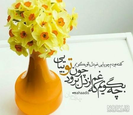  عکس گل نرگس در باران برای پروفایل