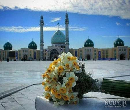  عکس گل نرگس در باران برای پروفایل