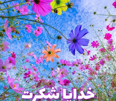 خدایا شکرت به هزارویک دلیل خدایا شکرت به هزارویک دلیل