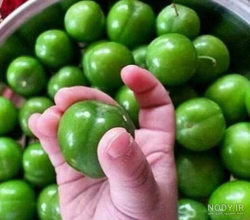 خواص آلوچه جنگلی