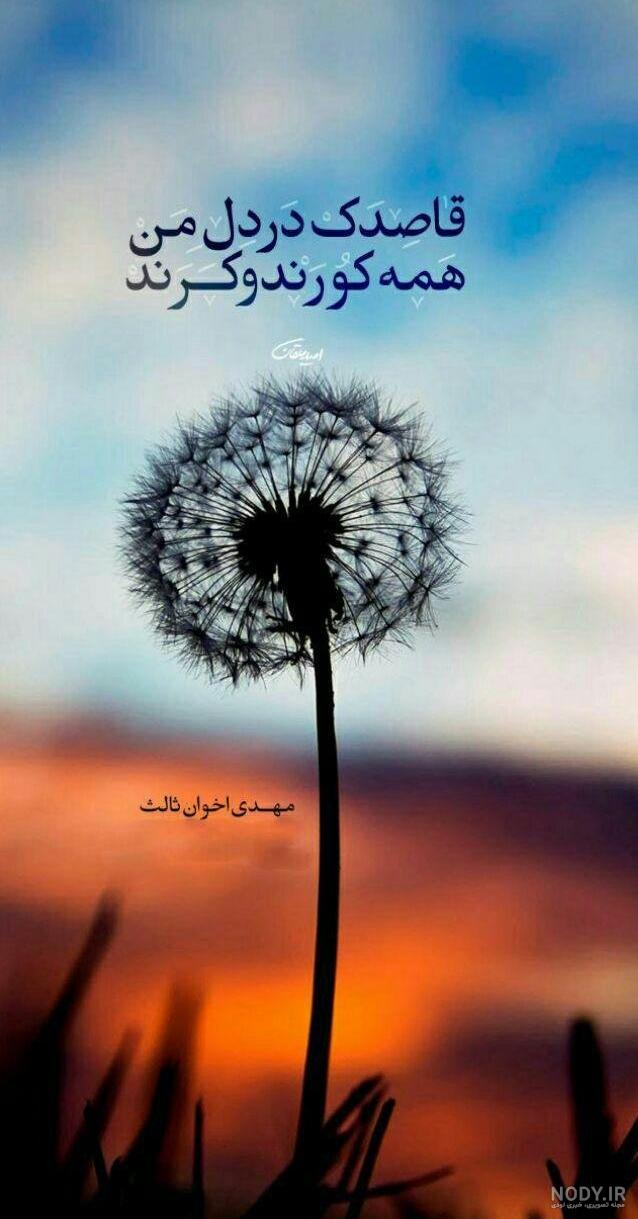 زیباترین کلیپ طبیعت برای وضعیت واتساپ
