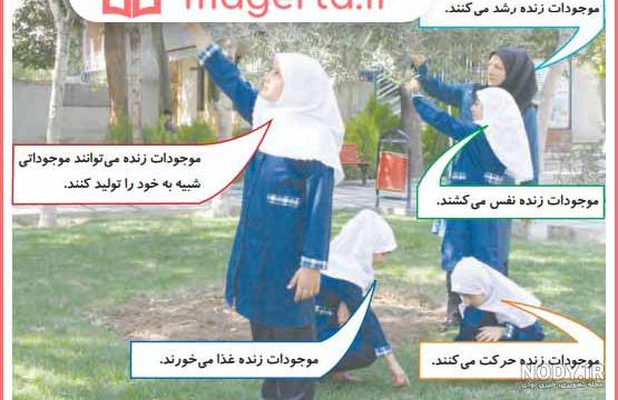 سوالات درس اول علوم چهارم