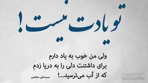 شعر پرنده سید علی صالحی شعر پرنده سید علی صالحی