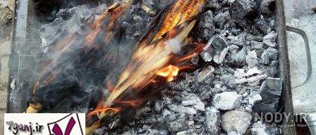 طرز تهیه شیر بلال طرز تهیه شیر بلال