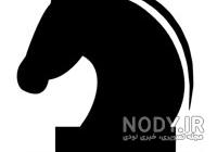 عکس حرکت اسب در شطرنج