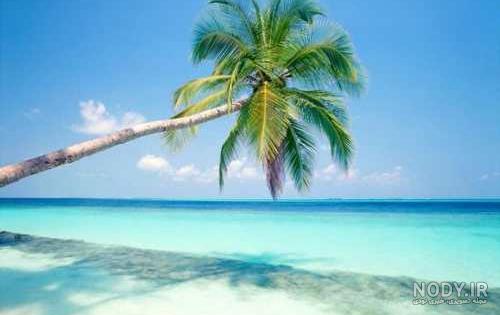 عکس دریا واقعی عکس دریا واقعی