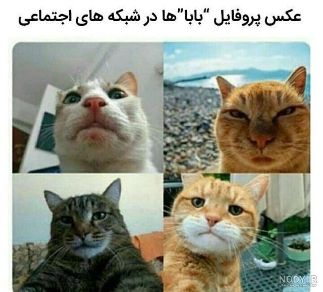 عکس طنز ایرانی