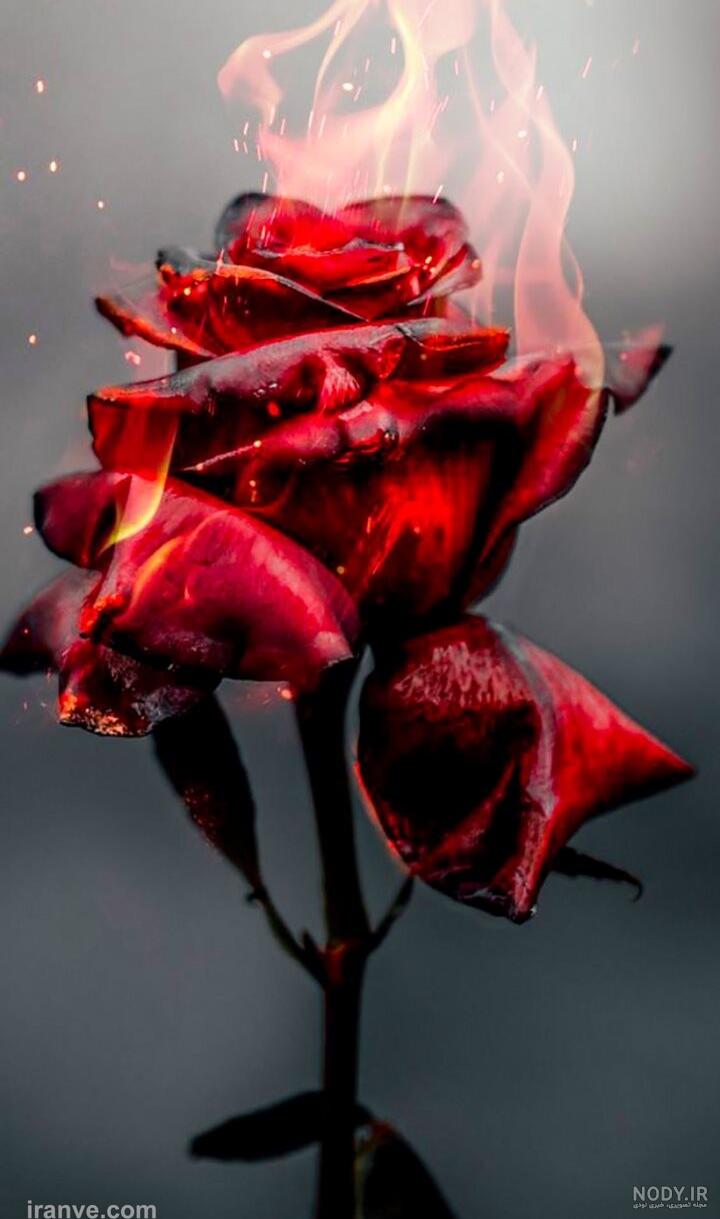 عکس نوشته پایان عکس نوشته پایان