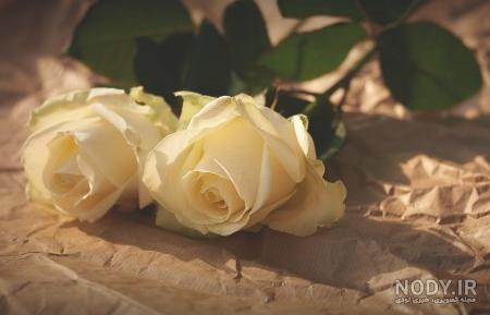 عکس گل برای جدایی عکس گل برای جدایی