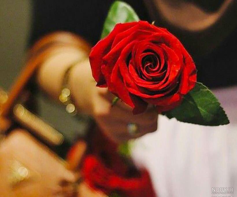 عکس گل جدایی عکس گل جدایی