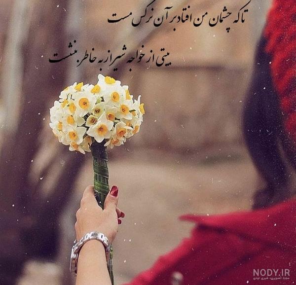 متن شعر گل نرگس متن شعر گل نرگس