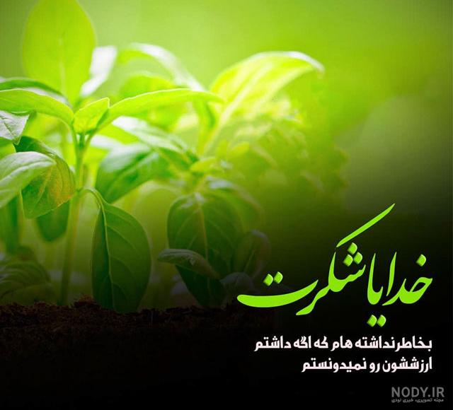 متن شکرگزاری صبحگاهی متن شکرگزاری صبحگاهی