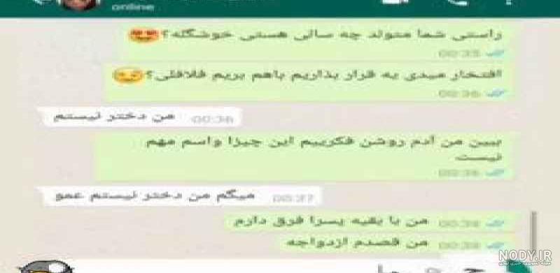مومو چیست مومو چیست