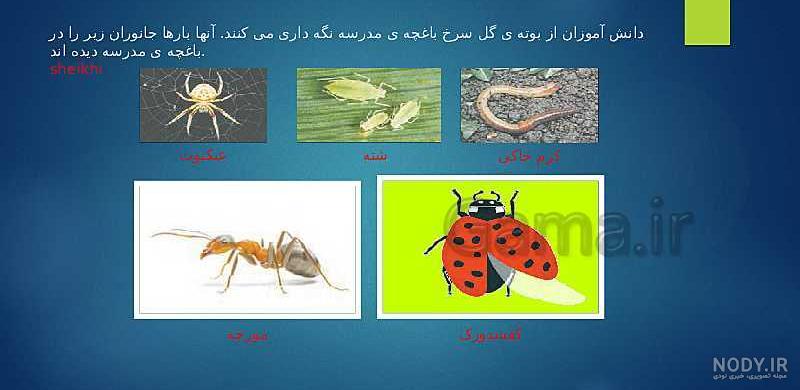نمونه سوالات علوم چهارم ابتدایی از درس 1 تا 7