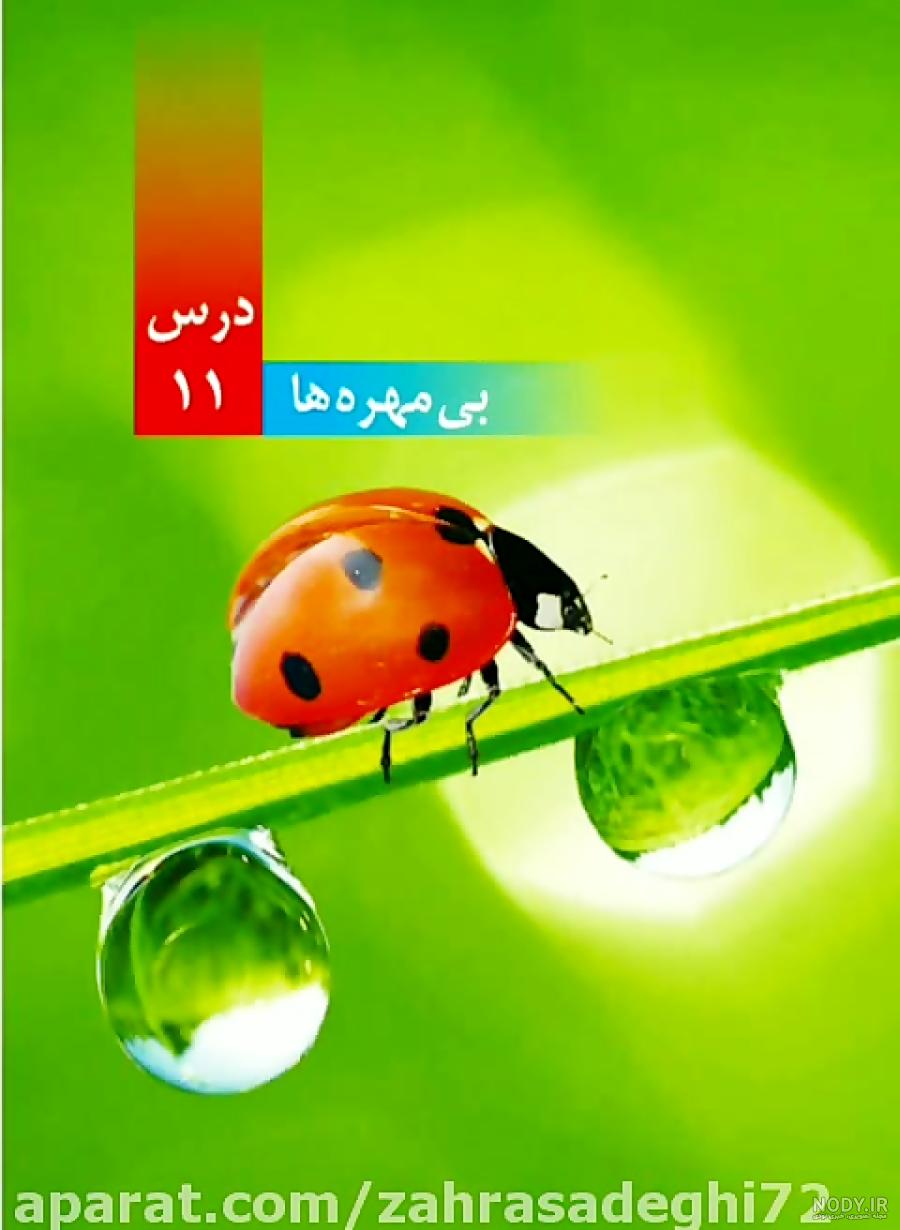 پی دی اف علوم چهارم