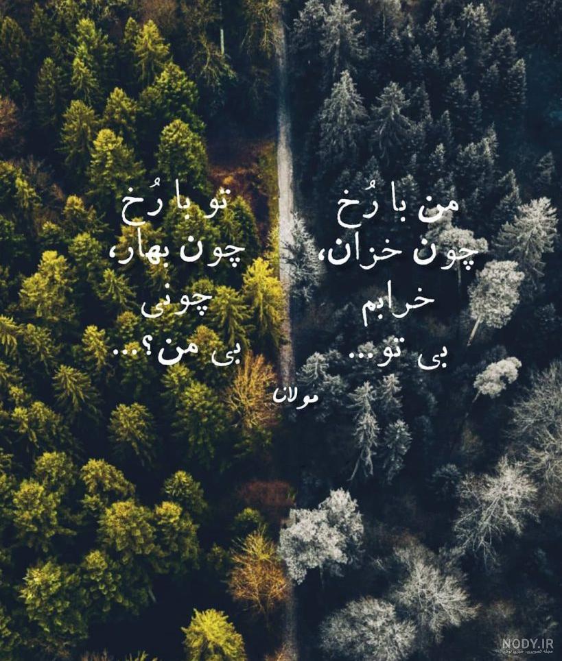 کلیپ استوری طبیعت با اهنگ