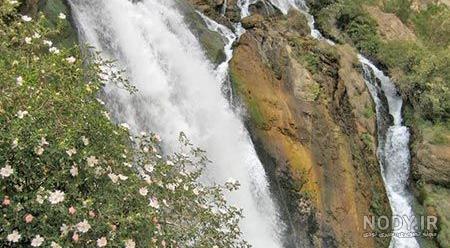 خرید دختر برای یک شب خرید دختر برای یک شب
