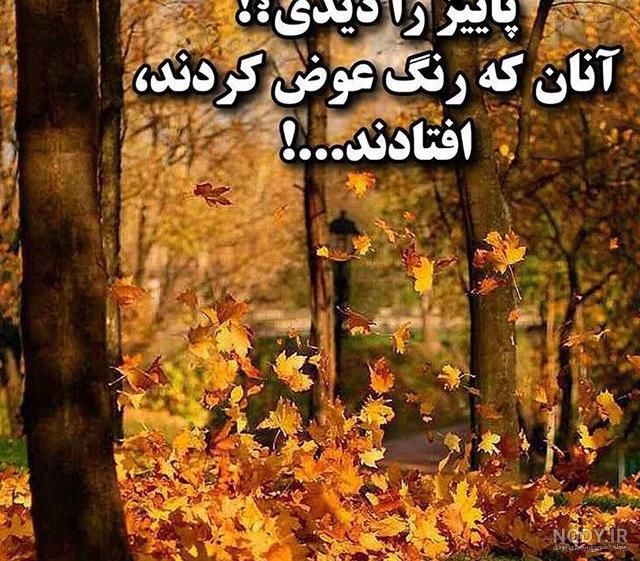 تصاویر زیبا از پاییز طبیعت