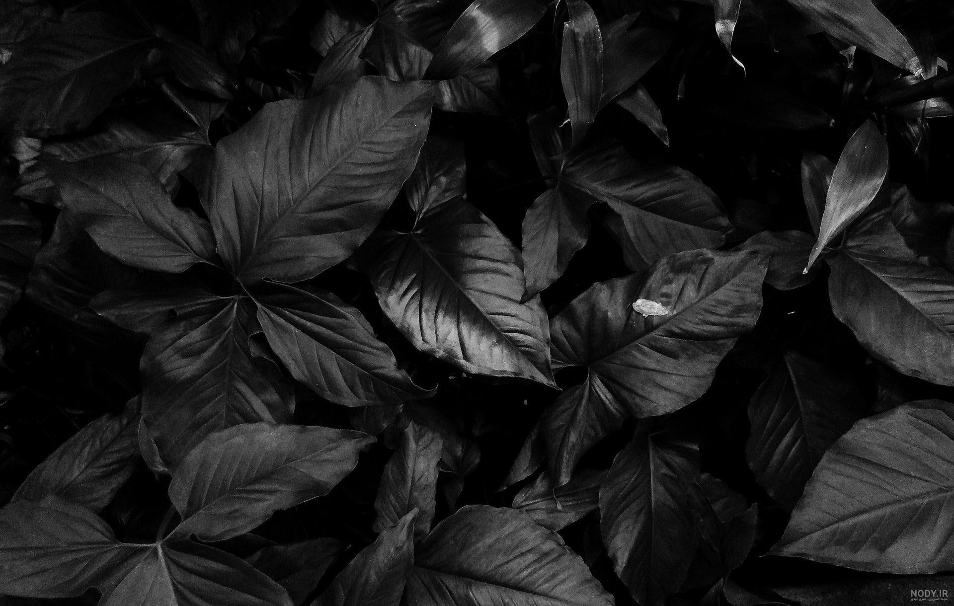 تصویر زمینه خفن