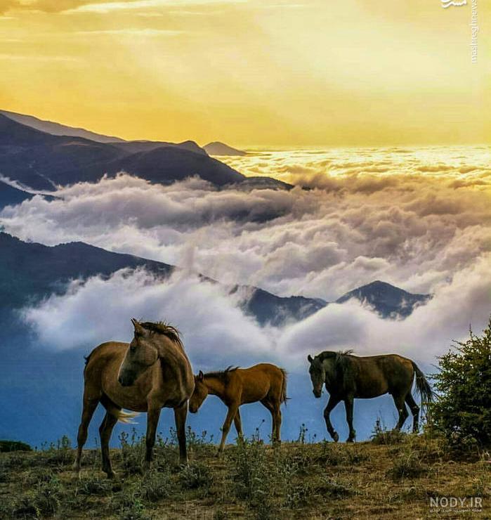جاذبه های گردشگری غرب ایران جاذبه های گردشگری غرب ایران