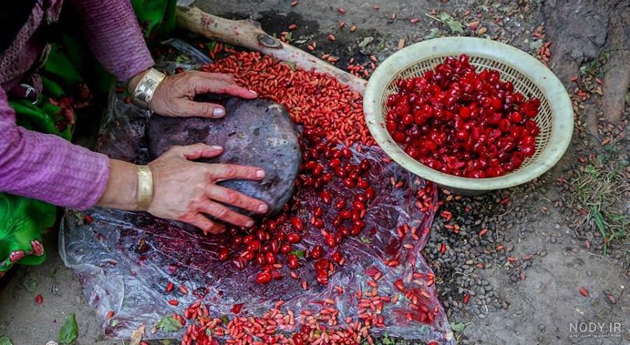 خواص لواشک زردآلو خانگی خواص لواشک زردآلو خانگی