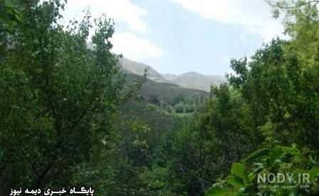 زندگی در فیروزکوه زندگی در فیروزکوه