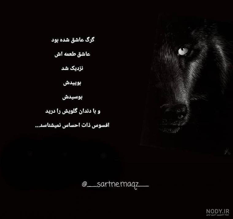 شعر در مورد گرگ شعر در مورد گرگ
