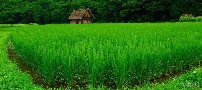 شهرهای شمالی ایران شهرهای شمالی ایران