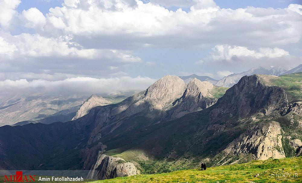 طبیعت زیبا