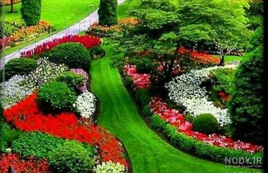 عکس شاد در طبیعت