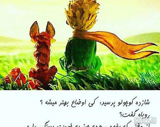 عکس شازده کوچولو برای پروفایل بدون متن
