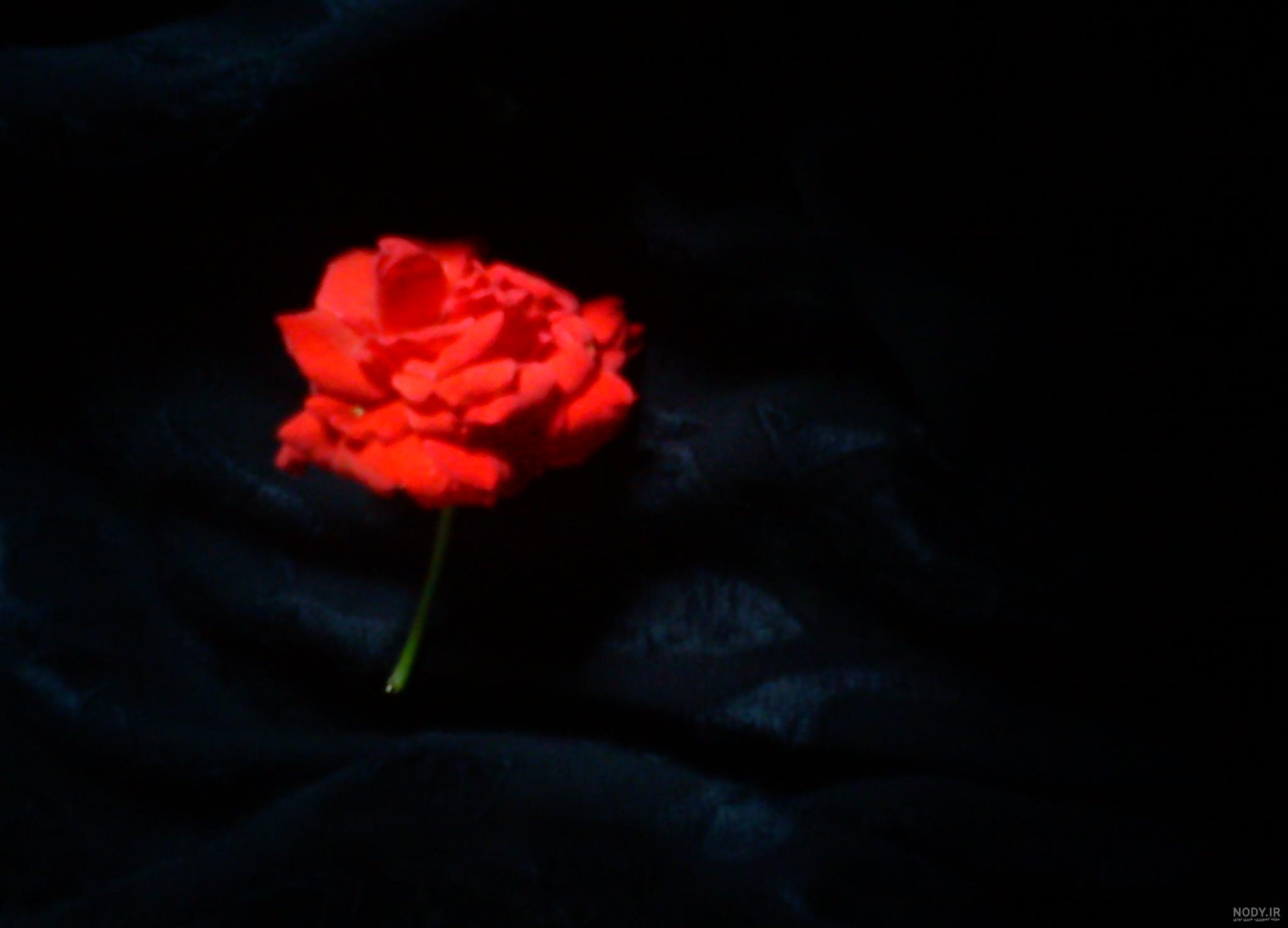 عکس صفحه سیاه