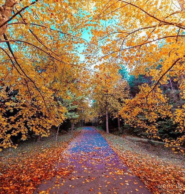 عکس طبیعت ایران