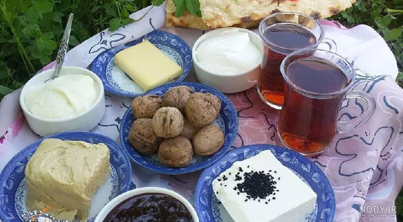 عکس غذا تو طبیعت عکس غذا تو طبیعت