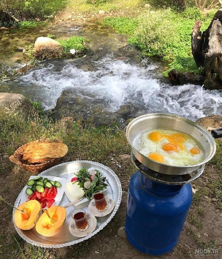 عکس غذای طبیعت عکس غذای طبیعت