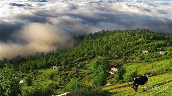 عکس منظره های زیبای شمال ایران عکس منظره های زیبای شمال ایران
