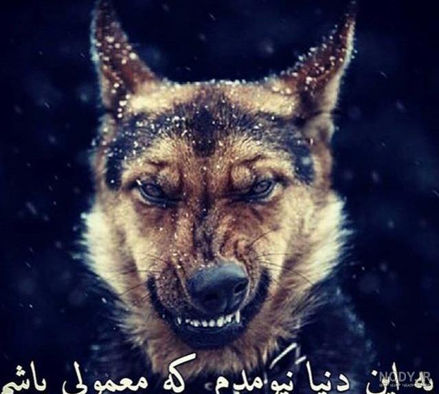 عکس نوشته انگلیسی خفن با معنی عکس نوشته انگلیسی خفن با معنی