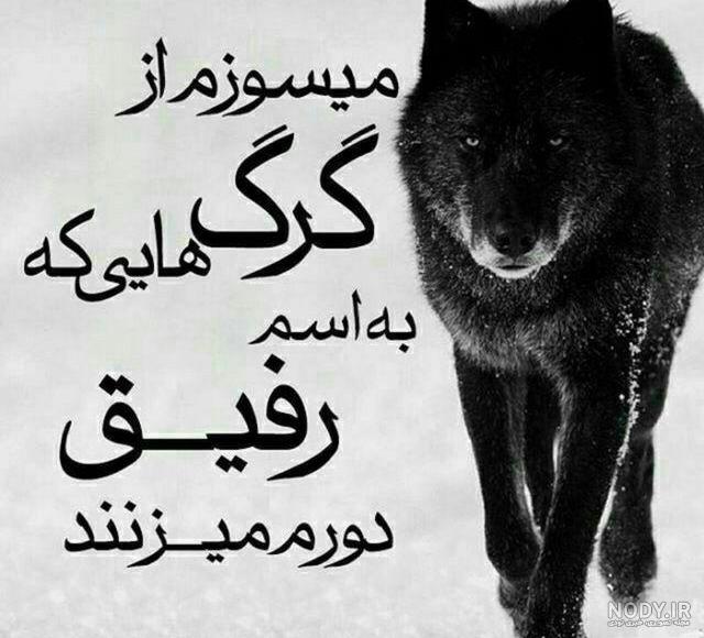عکس نوشته رفیق گرگ