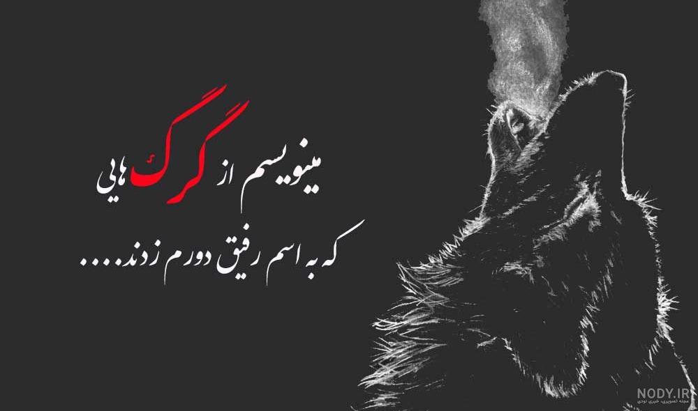 عکس پروفایل گرگ و دختر عکس پروفایل گرگ و دختر