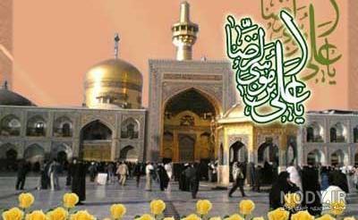 عکس کبوتر حرم امام حسین عکس کبوتر حرم امام حسین