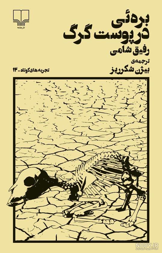 عکس گرگ واقعی عکس گرگ واقعی