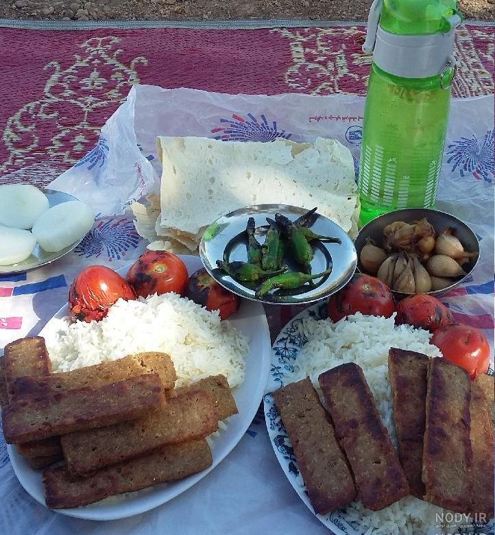 غذای مناسب سفر یک روزه غذای مناسب سفر یک روزه