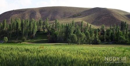 فیروزکوه در کدام استان است فیروزکوه در کدام استان است