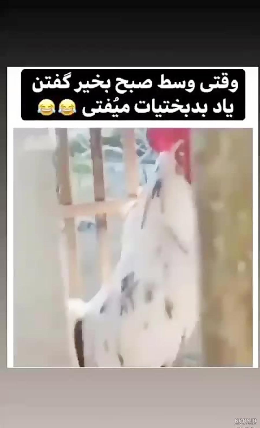 متن طنز کوتاه