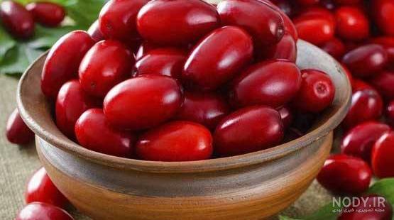 معنی زغال اخته چیست معنی زغال اخته چیست