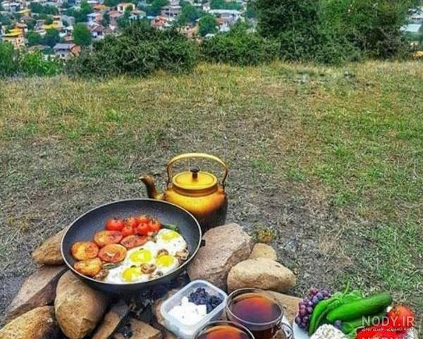 ناهار در طبیعت ناهار در طبیعت