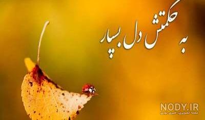 پروفایل ایمان به خدا