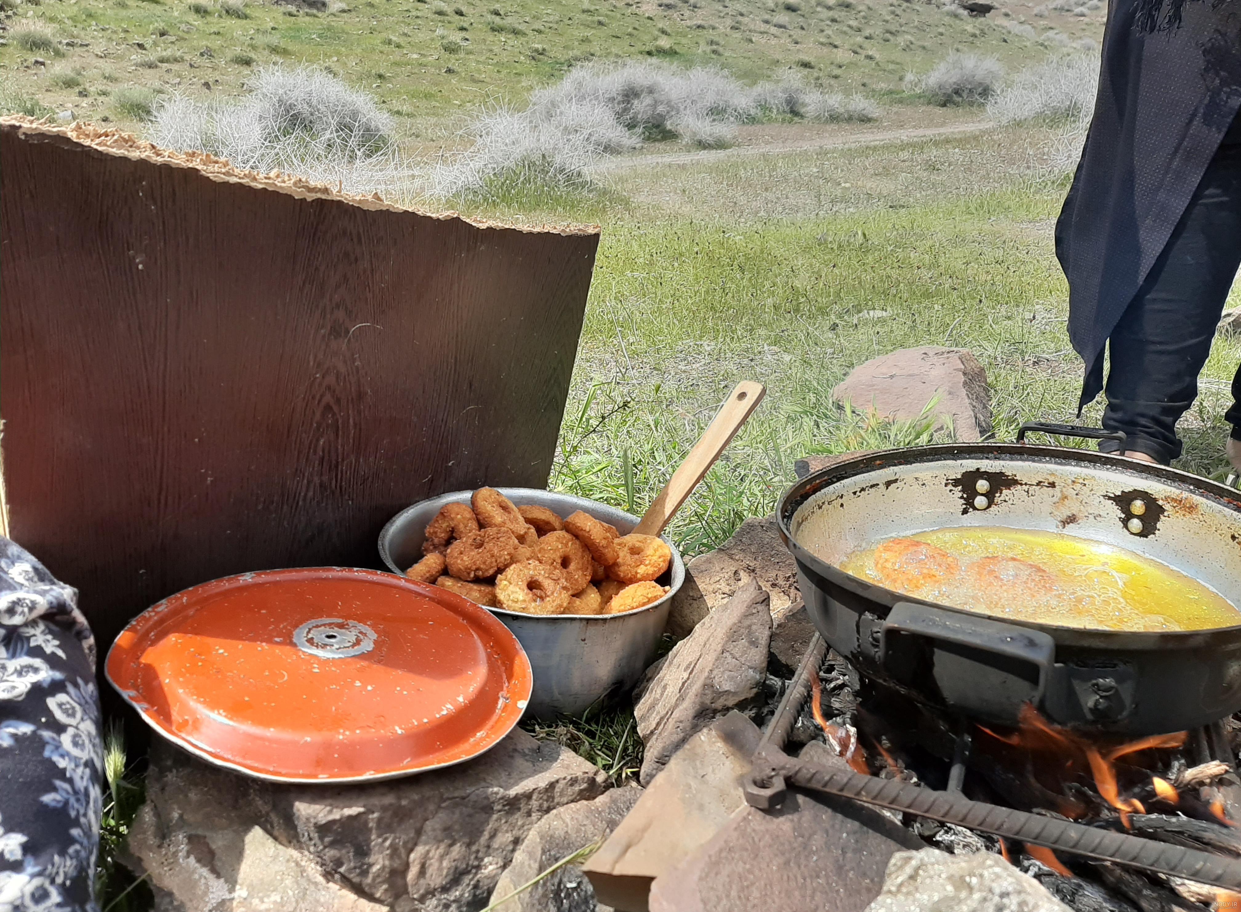 پیشنهاد غذا در طبیعت پیشنهاد غذا در طبیعت