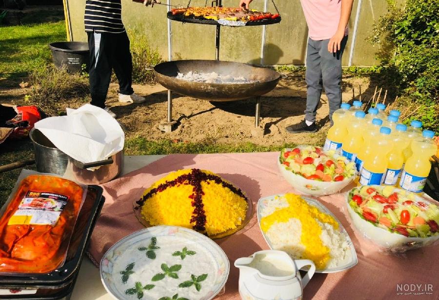 پیشنهاد غذا در طبیعت پیشنهاد غذا در طبیعت
