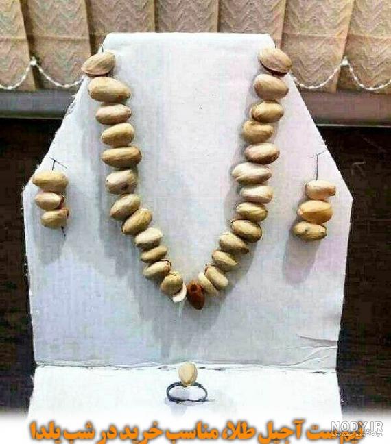 گالری عکس خنده دار گالری عکس خنده دار